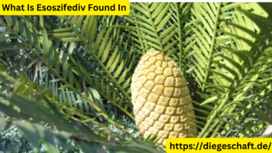What is esoszifediv found in und wo wird es gefunden?